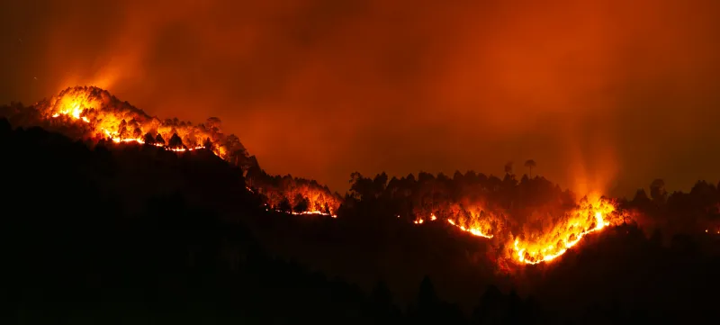 Bild: Waldbrand, Quelle: Pexels, A. Kainthola